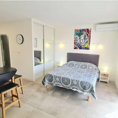 Apartment Studio With Terrace And Sea View